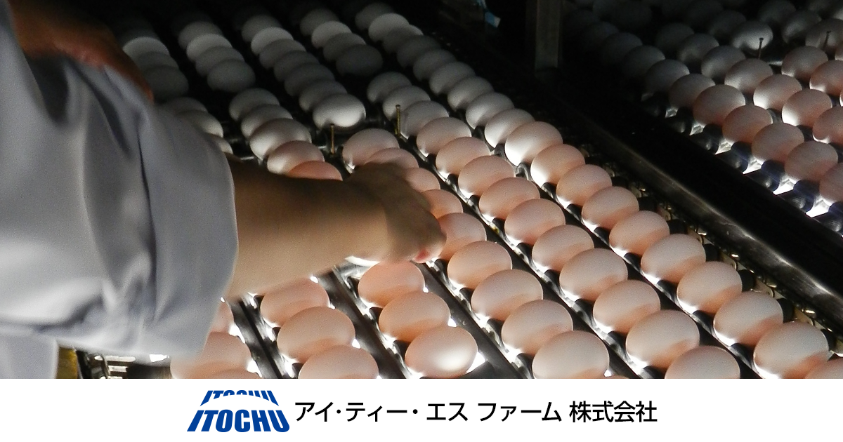 アイ・ティー・エスファーム株式会社